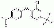 B1024