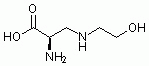 D1556