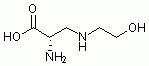 D1557