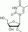 E1062