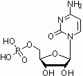 E1151