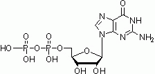 E1160