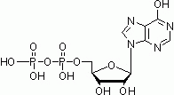 E1164