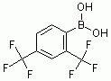 G1019