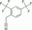 K1981