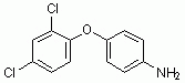 K1999