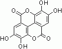 L1406