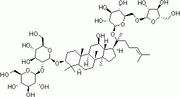 N1041